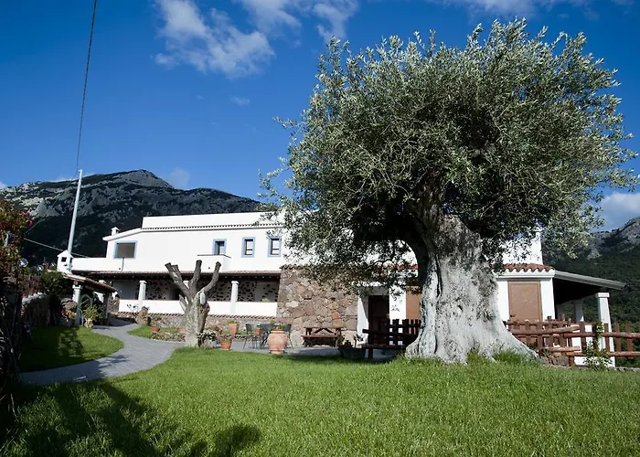 Turismo Rurale Belvedere Pradonos Szálloda Dorgali